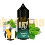 سالت نعناع یخ جوسی <br><span>Juicy Salts Spearmint 30ml</span>